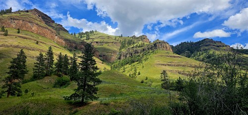 Gallery Image 20240603_160006.jpeg