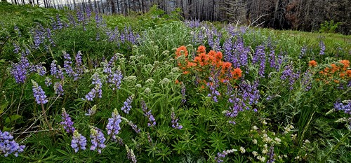 Gallery Image 20240609_131336_(1).jpeg