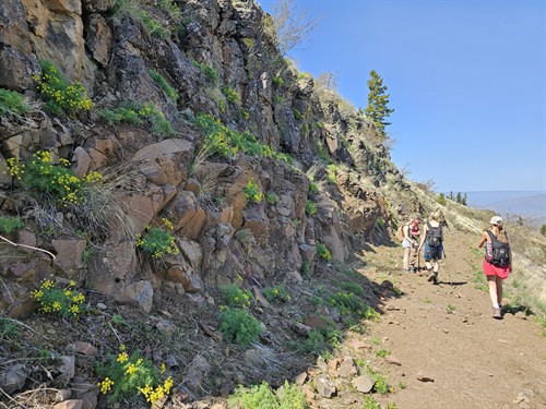 Gallery Image 20250502_141609.jpeg