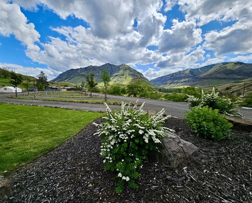 Gallery Image 20250520_150727.jpeg