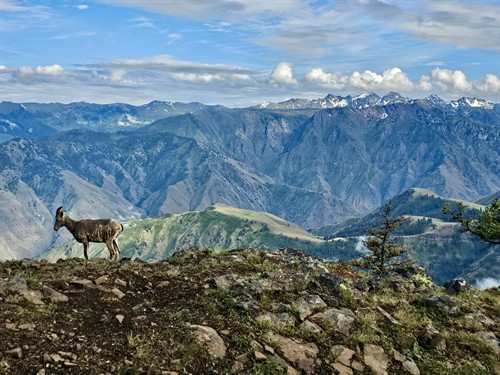 Gallery Image 20250611_171430.jpeg