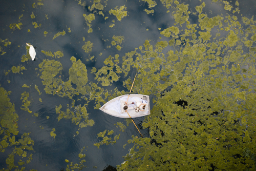 Drone Wedding Photography