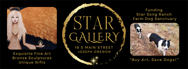 Star Gallery Star Gallery