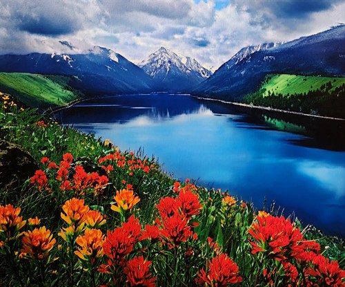 Paintbrush and Wallowa Lake, David Jensen photography