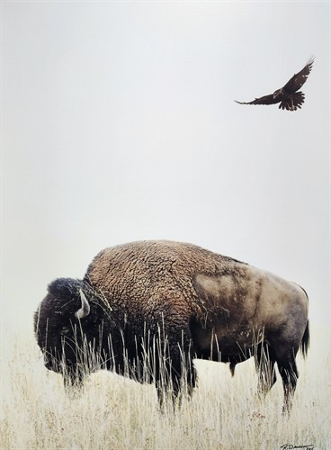 Messin' with The Big Guy, Robert Dawson photo on canvas