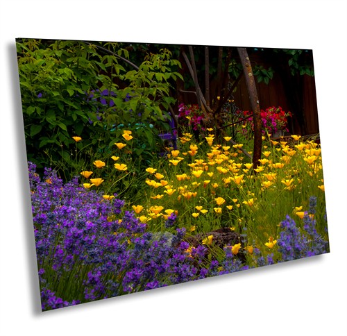 Wallowa Country Garden Wallowa Oregon