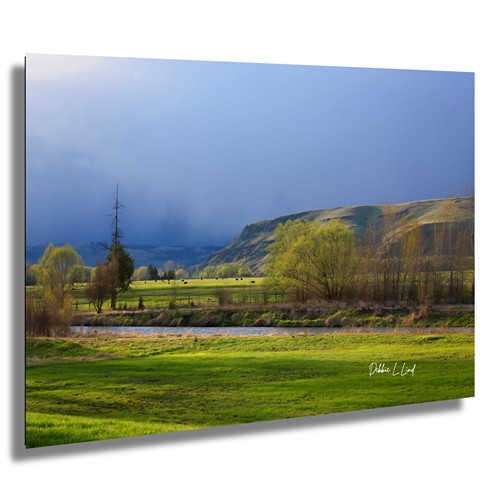 Tick Hill, Wallowa, Oregon 