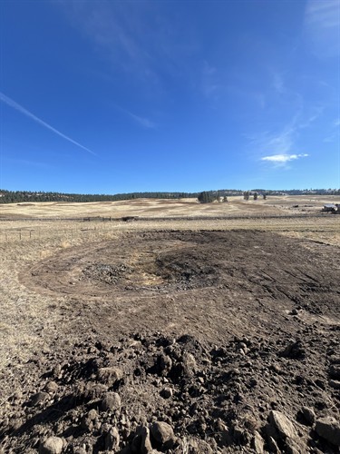 Gallery Image IMG_5111.jpeg