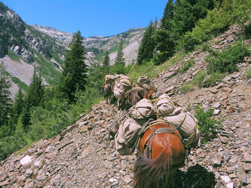 Gallery Image IMG_2080_inPixio.jpg