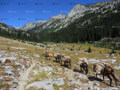 Gallery Image IMG_2278_Edited.jpg