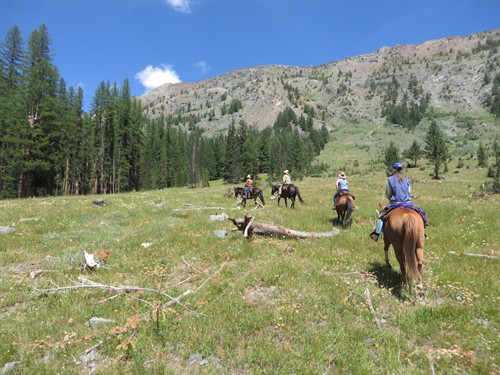 Gallery Image IMG_5784.JPG