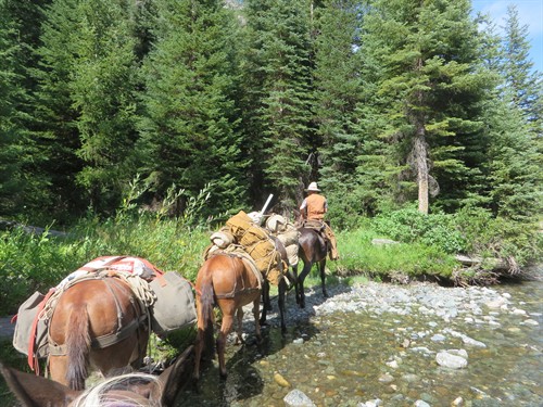 Gallery Image IMG_6086.JPG