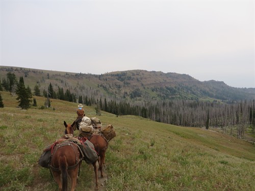 Gallery Image IMG_6157.JPG