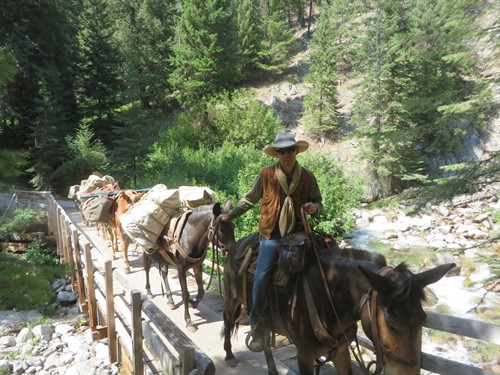 Gallery Image IMG_6167.JPG