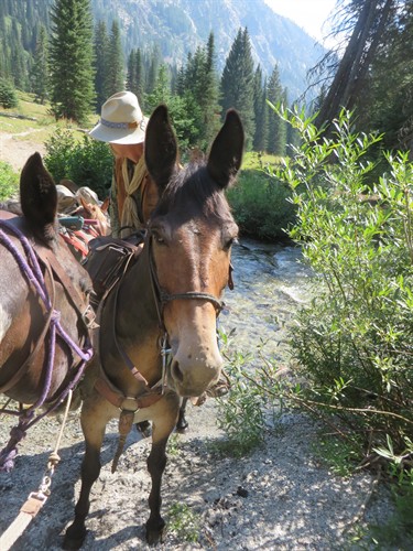 Gallery Image IMG_6170.JPG