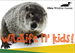 Owlets Summer Camp - AM Session