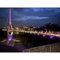 Dublin Businesses Invited to Help Paint the Town Purple on Sept. 25