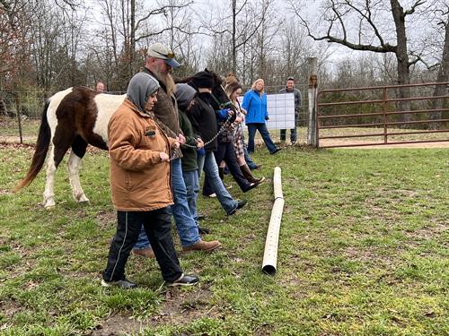 Equine assisted learning with group