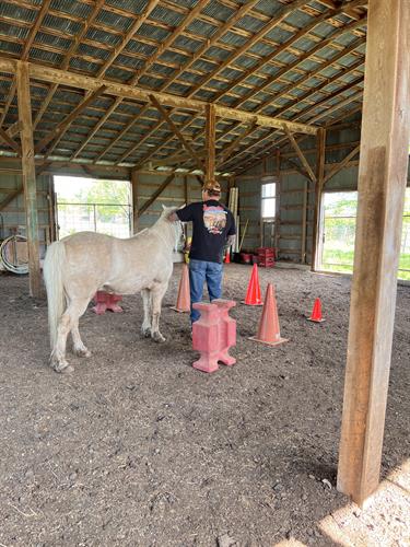 Working through combat trauma