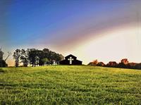 Lucky Chapel Venue