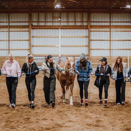 Horses teach teamwork, trust, and communication — a unique corporate experience.