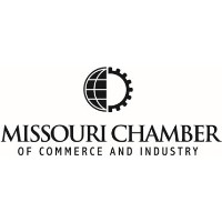 Rachel Kohman, Ed.D. of Missouri University of Science and Technology joins 2026 Leadership Missouri program