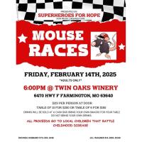 Mouse Races