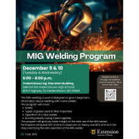 Beginner MIG Welding Program