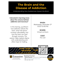 Virtual Training on The Brain & the Disease of Addiction