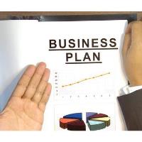 Workshop: Writing a Professional Business Plan