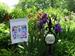 Ste. Genevieve Garden Walk 2017
