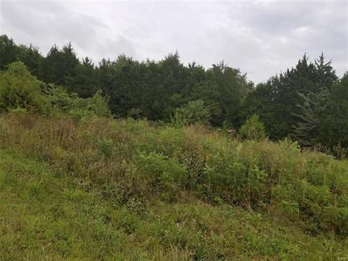 Gallery Image 70780048_2563765953683235_2167817174230499328_n.jpg