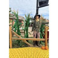 7th Annual Main Street Scarecrow Contest