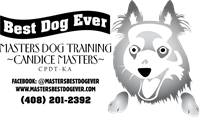 MastersBestDogEver, Dog Trainer