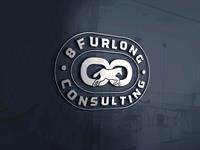 8 Furlong Consulting