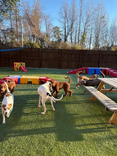 Gallery Image 1-16-1.jpeg