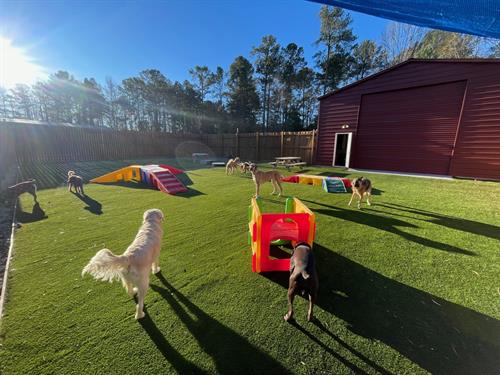 Gallery Image 1-2-26-2.jpg