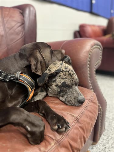 Gallery Image 1-2-26-4.jpg