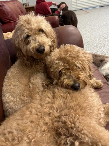 Gallery Image 12-126.jpg