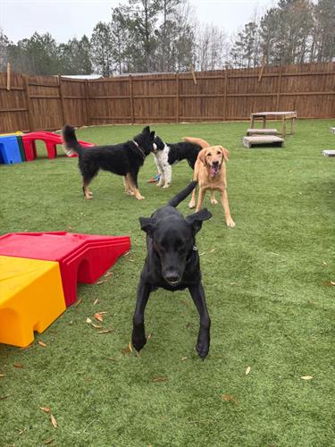 Gallery Image 12-28-6.jpeg