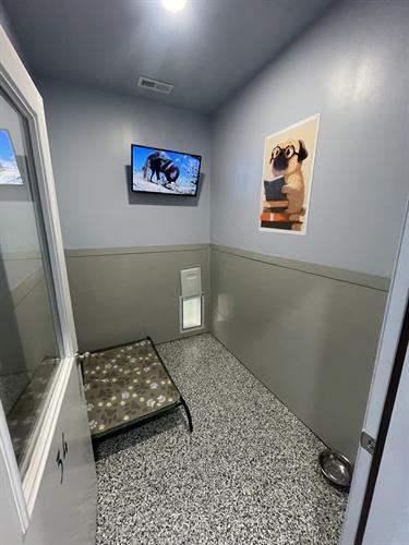 Gallery Image Suite.jpg