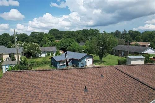 Gallery Image I.Cooley_Blue_roof.jpg