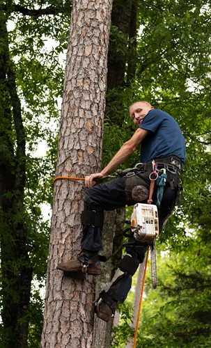 Gallery Image DSC_6260.jpg