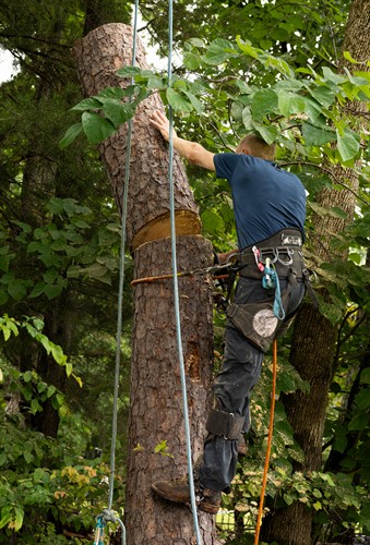 Gallery Image DSC_6515.jpg