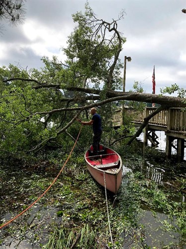 Gallery Image Nate-Foster-Tree-Care-Chapin-SC-001.jpg