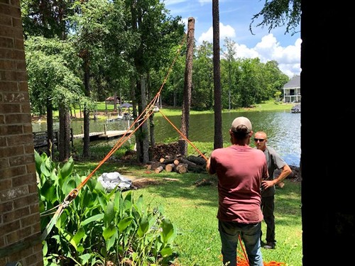 Gallery Image Nate-Foster-Tree-Care-Chapin-SC-002.jpg