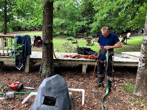 Gallery Image Nate-Foster-Tree-Care-Chapin-SC-005.jpg