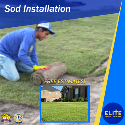 Professional Sod installation in South Carolina. 
