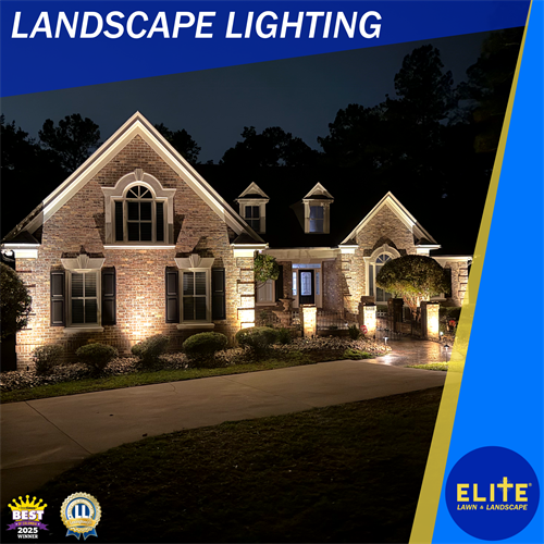 Professional low voltage outdoor landscape lighting installation in Columbia, South Carolina.