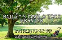 Baileys Lawn and Tree Service